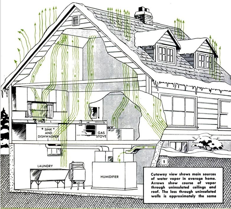 House Cutaway Showing Movement of Condensation 1951