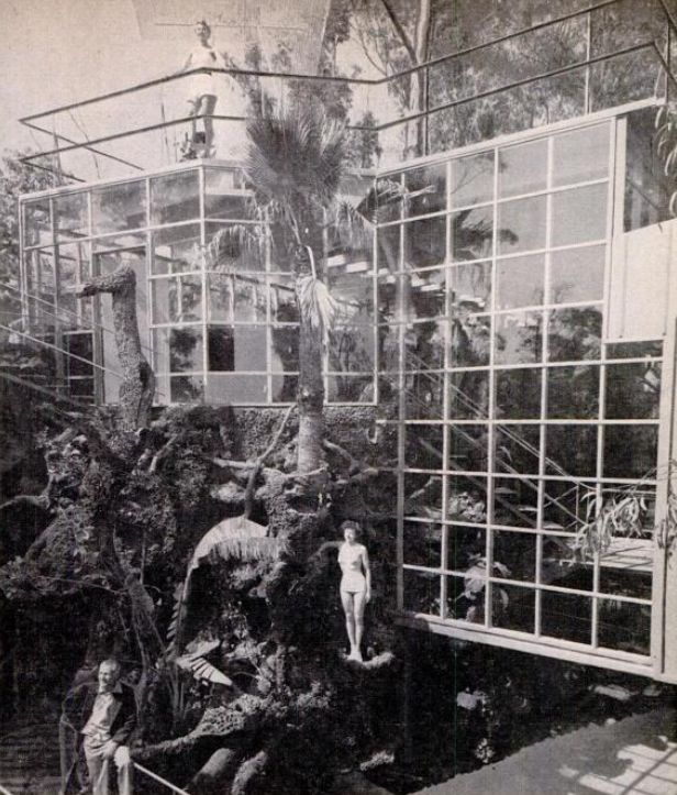 Hal B Hayes House Hollywood CA 1953 Exterior Glass Wall