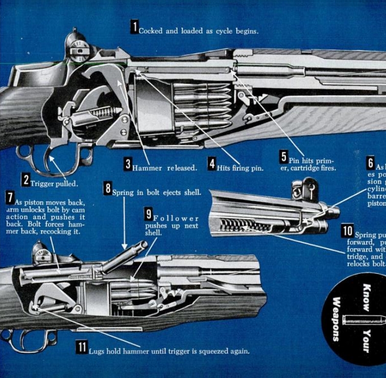 M1 Garand Rifle Cutaway 1951