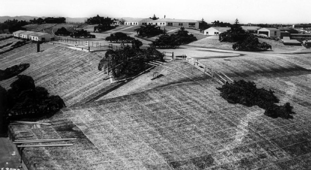 Lockheed Burbank Plant Operation Camouflage