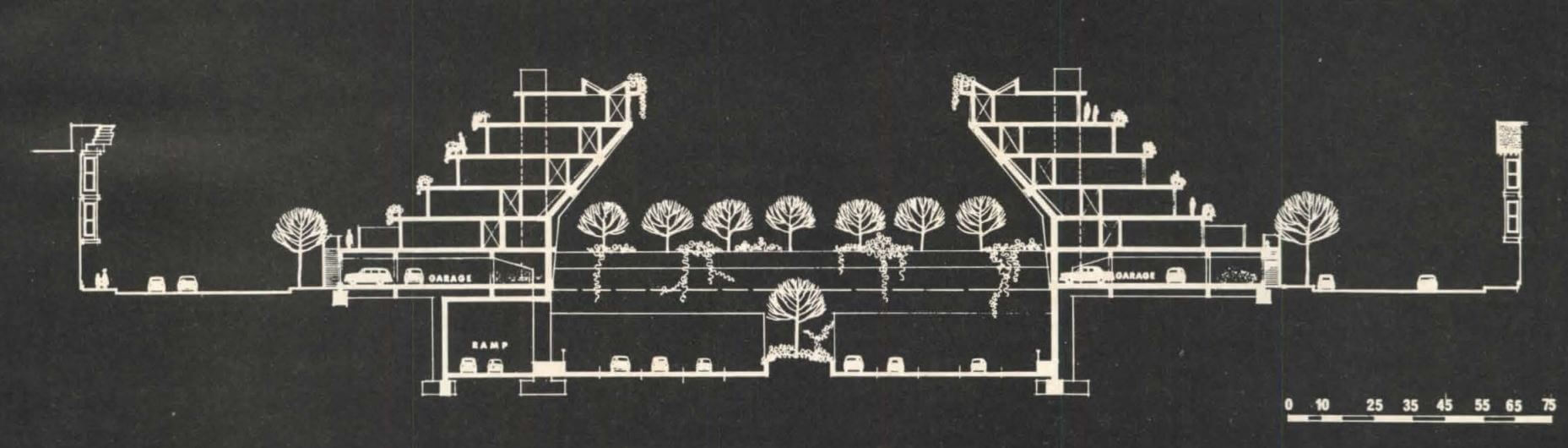 San Francisco Panhandle Freeway Cap 1967, Cross-Section